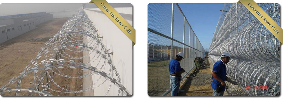 Concertina Razor Wire