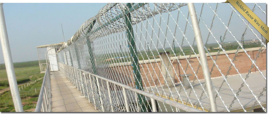 Welded Razor Wire Mesh