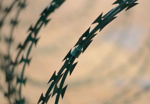 PVC Coated Razor Barbed Wire