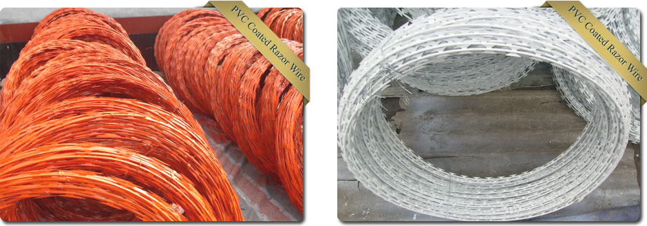 PVC coated razor barbed wire