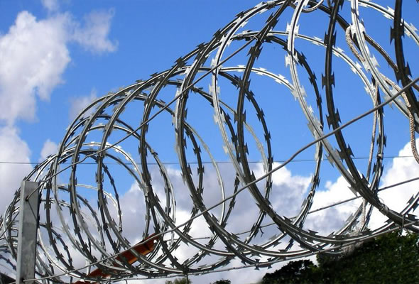 Concertina Razor Coils