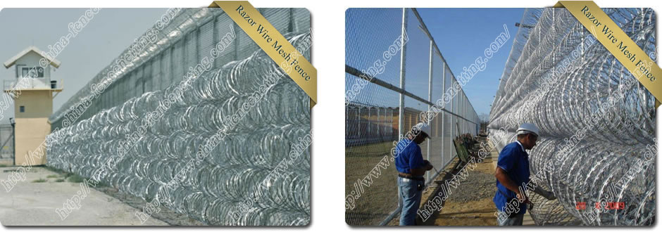 Razor Wire Mesh Fence