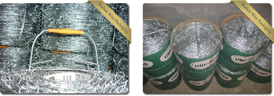 Double Twist Barbed Wire