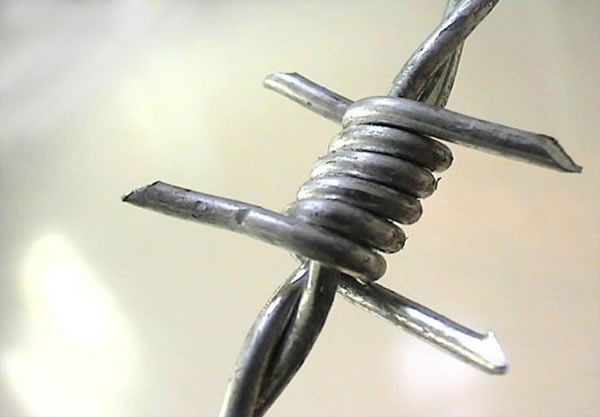 Double Twist Barbed Wire