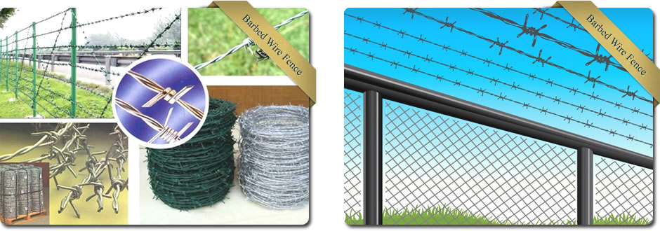 Barbed Wire Fence