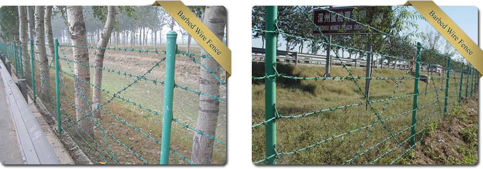 Barbed Wire Fence