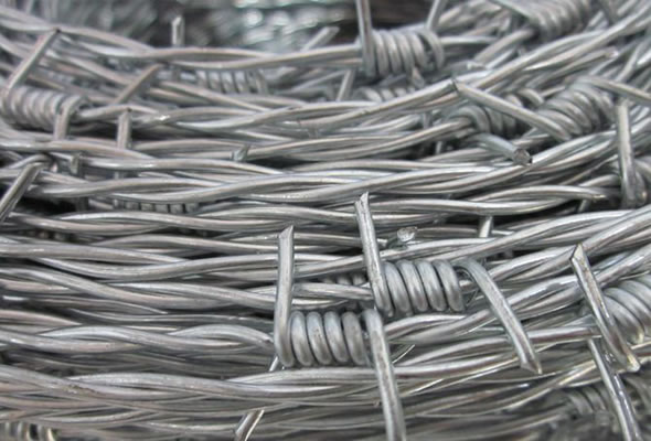 Galvanized Barbed Wire