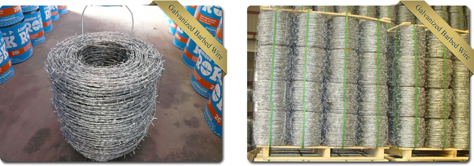 Galvanized Barbed Wire