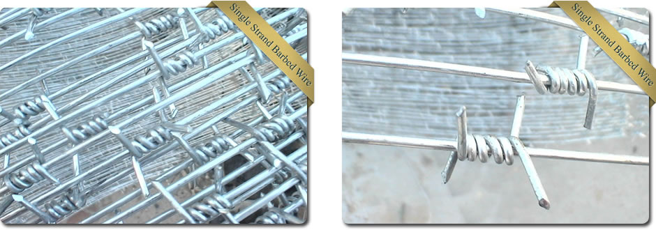 Single Strand Barbed Wire